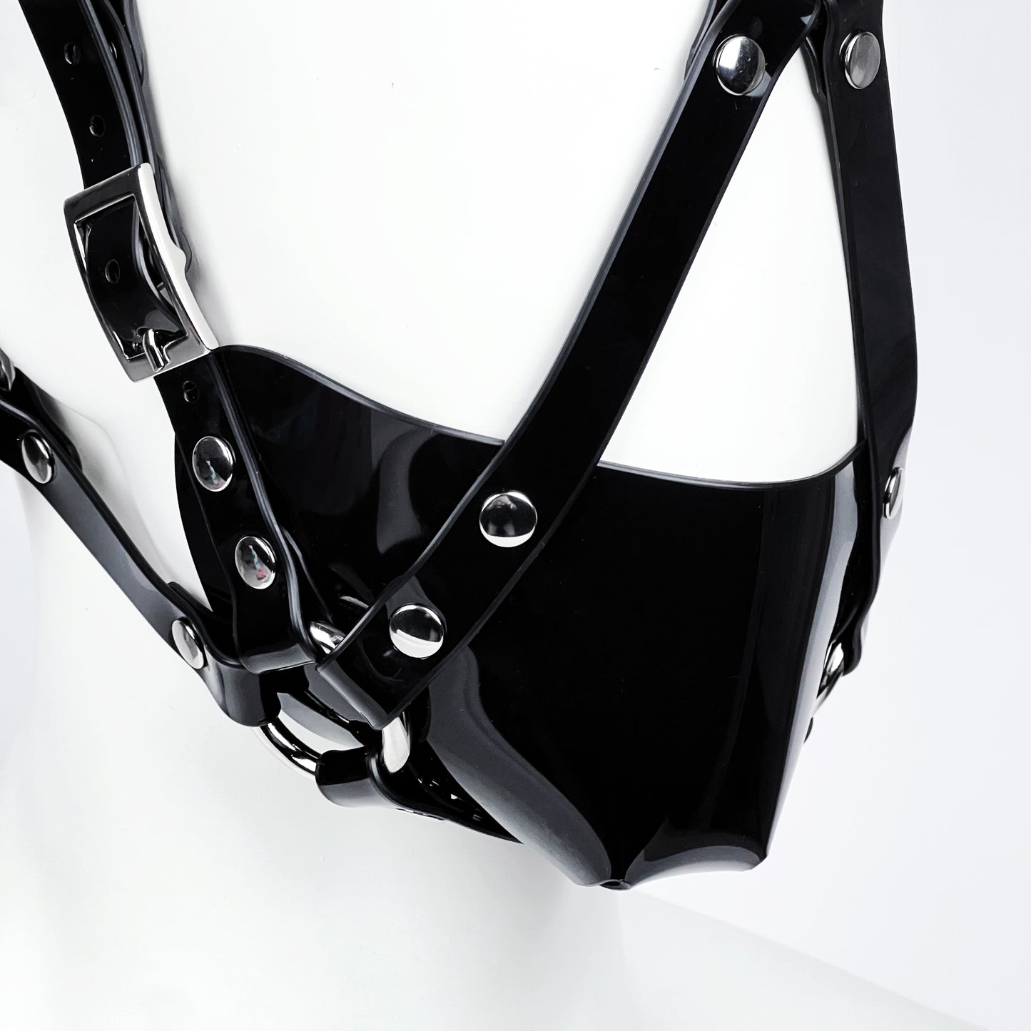 Muzzle head harness