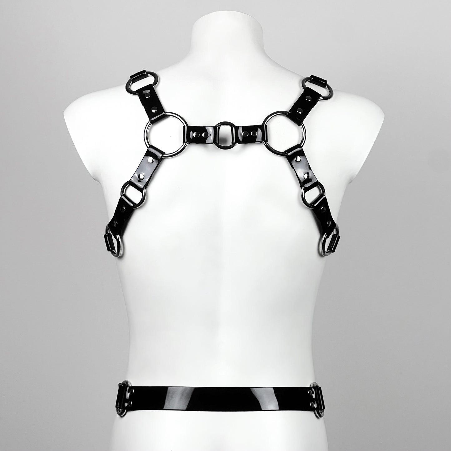 Armor bretelle harness