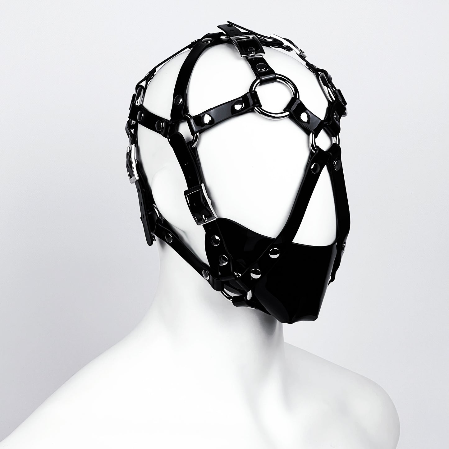 Muzzle head harness