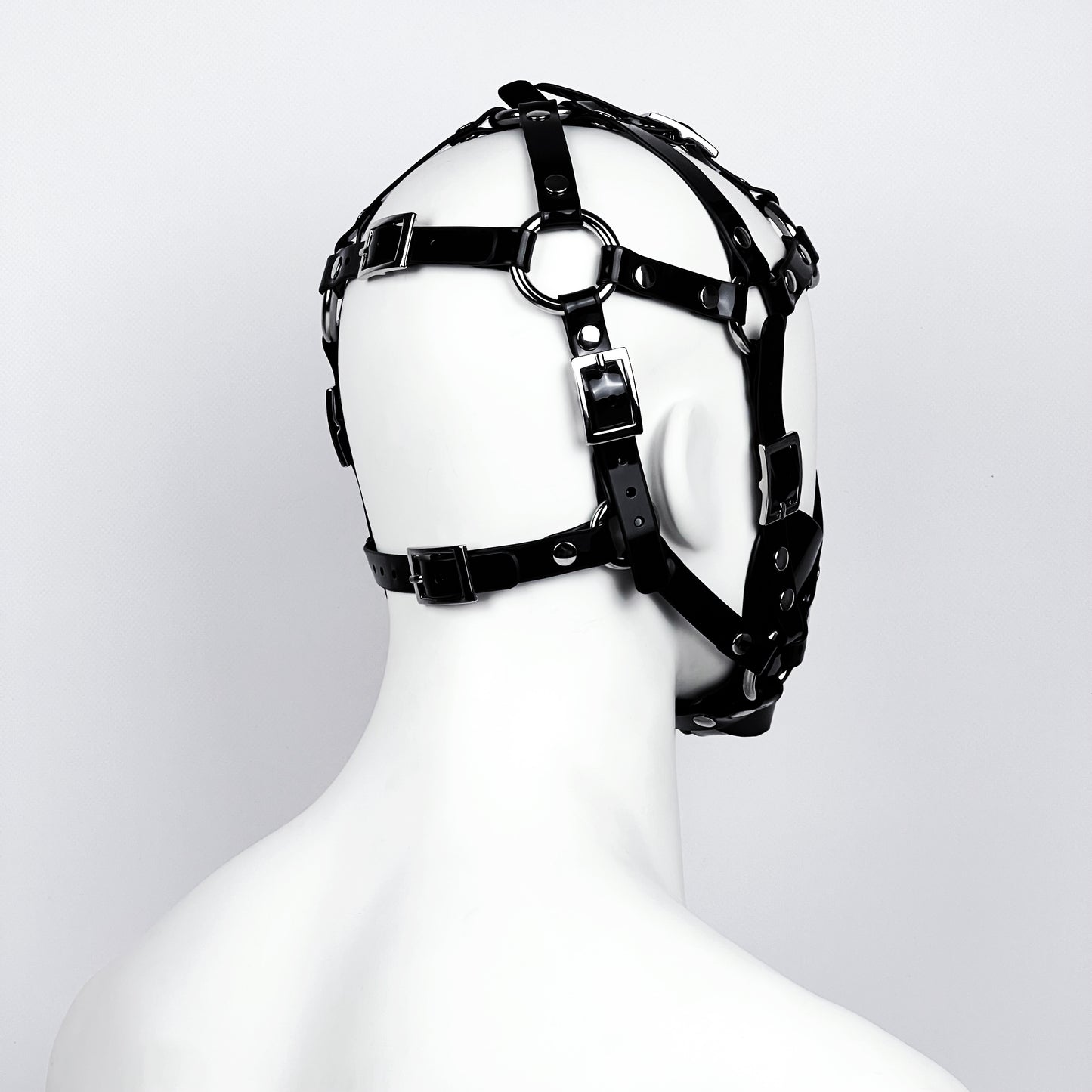Muzzle head harness