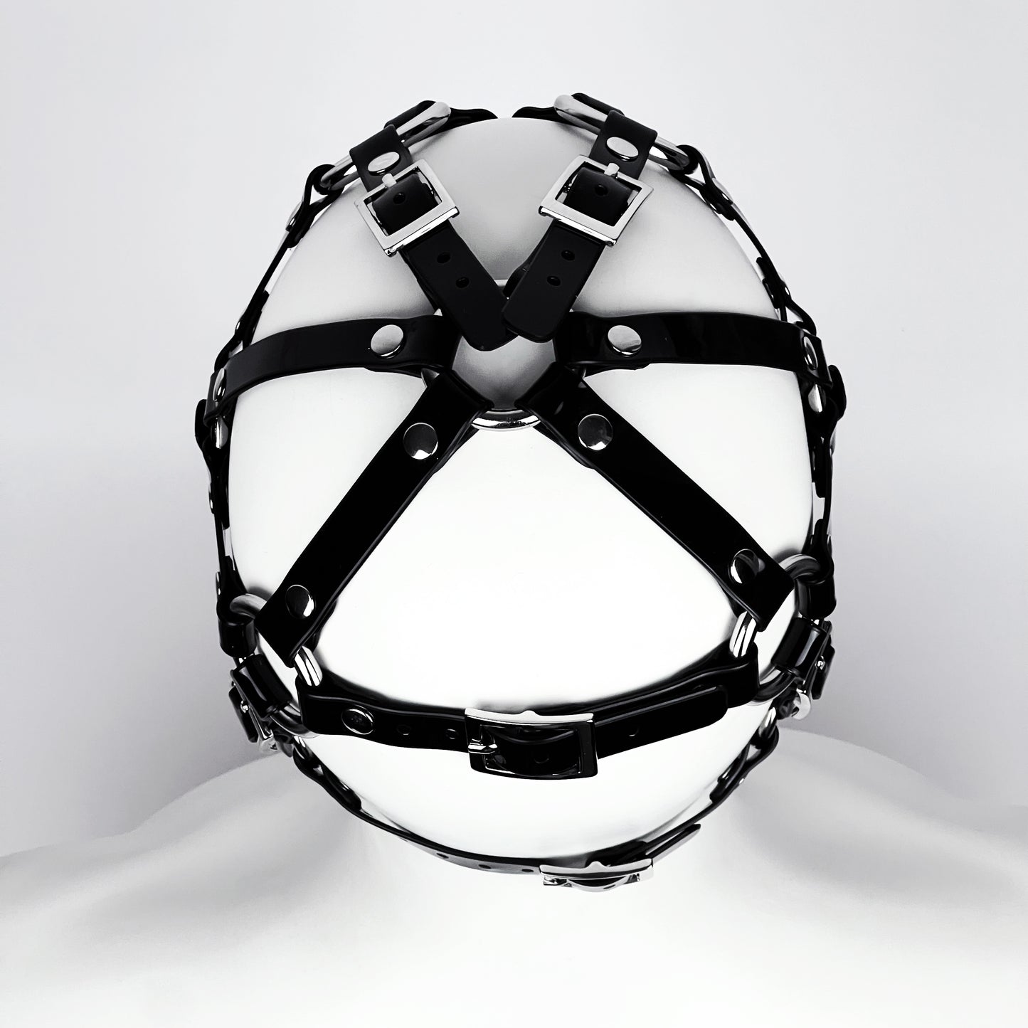 Muzzle head harness