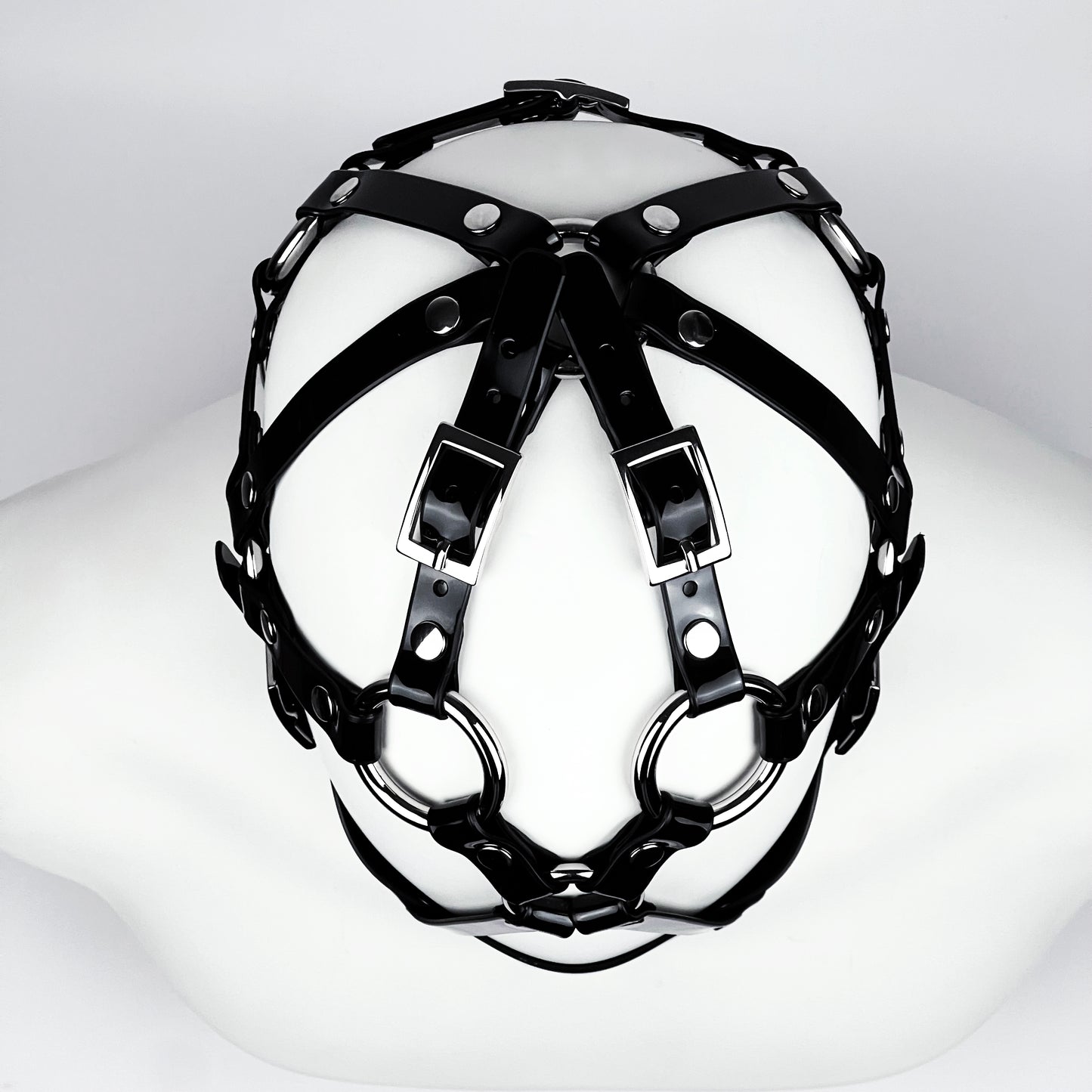 Muzzle head harness