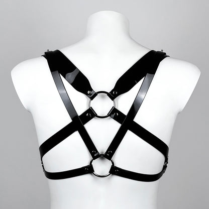 Berliner harness
