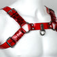 Bold harness 3 cm