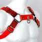Bold harness 3,5 cm